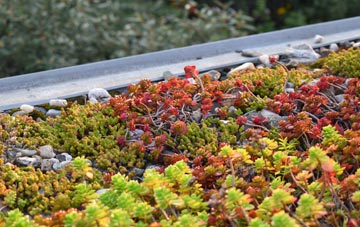 the cost of Clarbeston green roof installation