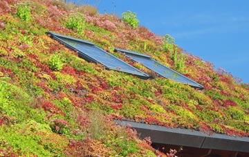 Clarbeston living roof systems