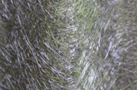 Clarbeston fibreglass roof work